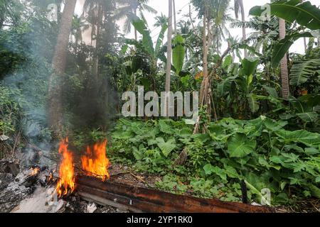 Laguna, Philippinen. 28. November 2024: Müllfeuer am Rande eines Waldes. Viele Filipinos verbrennen Müll in Hinterhöfen, eine häufige Ursache für Fehden in der Nachbarschaft. Das Gesetz verbietet offenes Abbrennen, aber diese umweltschädliche und schädliche Praxis namens „Pagsisiga“ ist in ländlichen Gebieten weit verbreitet. Dämpfe und Verbrennungsrückstände von Haushaltsabfällen, Elektronik, Kunststoff, Synthetik, Chemie, Pappe, organische Materialien verschmutzen Umwelt, Grundwasser und Luft. Die fünfte Sitzung des zwischenstaatlichen Verhandlungsausschusses für Kunststoffverschmutzung (INC-5) findet diese Woche in Südkorea statt. Quelle: Kevin Izorce/Alamy Live News Stockfoto