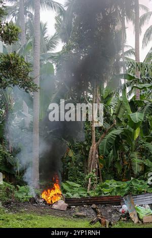 Laguna, Philippinen. 28. November 2024: Müllfeuer am Rande eines Waldes. Viele Filipinos verbrennen Müll in Hinterhöfen, eine häufige Ursache für Fehden in der Nachbarschaft. Das Gesetz verbietet offenes Abbrennen, aber diese umweltschädliche und schädliche Praxis namens „Pagsisiga“ ist in ländlichen Gebieten weit verbreitet. Dämpfe und Verbrennungsrückstände von Haushaltsabfällen, Elektronik, Kunststoff, Synthetik, Chemie, Pappe, organische Materialien verschmutzen Umwelt, Grundwasser und Luft. Die fünfte Sitzung des zwischenstaatlichen Verhandlungsausschusses für Kunststoffverschmutzung (INC-5) findet diese Woche in Südkorea statt. Quelle: Kevin Izorce/Alamy Live News Stockfoto