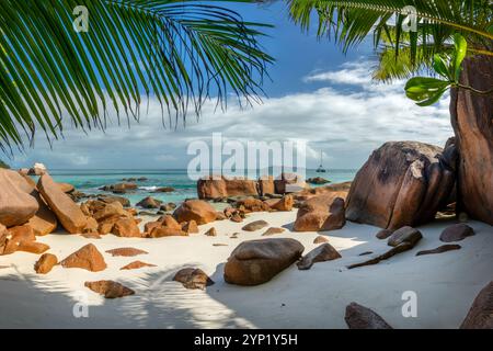 Palmen und Granitfelsen in Anse Lazio, malerischer Strand auf Praslin Island, Seychellen Stockfoto