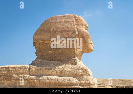 Sphinx Ägypten Porträt. Porträt der Großen Sphinx von Ägypten schließen. Ägypten, Gizeh. Seitenansicht Stockfoto