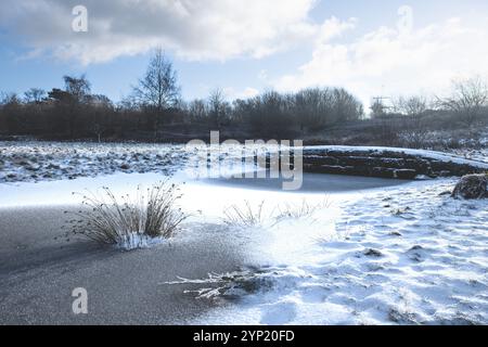 Ein ruhiger gefrorener Teich umgeben von schneebedecktem Boden und frostiger Vegetation unter einem klaren Winterhimmel. Die Ruhe der Szene fängt den Stil ein Stockfoto