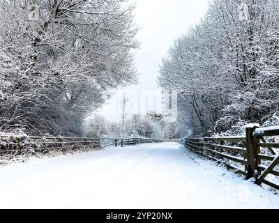 Ein ruhiger, schneebedeckter Pfad, umgeben von frostbeladenen Bäumen und Holzzäunen, schafft ein perfektes Winterwunderland. Diese idyllische Szene fängt den Peak ein Stockfoto