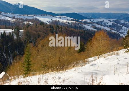 Berglandschaft im Winter. alpines Hochland der ukraine. Sonniger Tag. Schneebedeckte Hügel. januar Wunderland Stockfoto