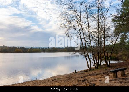 Frensham Little Pond, Winterblick am frühen Morgen im November, Surrey, England, Großbritannien Stockfoto