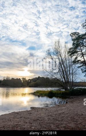 Frensham Little Pond, Winterblick am frühen Morgen im November, Surrey, England, Großbritannien Stockfoto