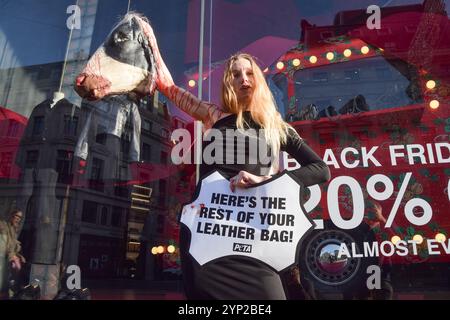 London, Großbritannien. November 2024. Ein PETA-Aktivist (People for the Ethical Treatment of Animals) steht vor dem Coach Store in der Regent Street und hält einen künstlich abgetrennten Kuhkopf und ein Schild mit der Aufschrift „hier ist der Rest deiner Ledertasche“ während eines Protestes vor dem Black Friday. Die Aktion ist Teil der laufenden Kampagne von PETA gegen die Verwendung von Leder. Quelle: SOPA Images Limited/Alamy Live News Stockfoto