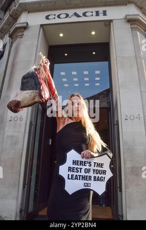 London, Großbritannien. November 2024. Ein PETA-Aktivist (People for the Ethical Treatment of Animals) steht vor dem Coach Store in der Regent Street und hält einen künstlich abgetrennten Kuhkopf und ein Schild mit der Aufschrift „hier ist der Rest deiner Ledertasche“ während eines Protestes vor dem Black Friday. Die Aktion ist Teil der laufenden Kampagne von PETA gegen die Verwendung von Leder. (Foto: Vuk Valcic/SOPA Images/SIPA USA) Credit: SIPA USA/Alamy Live News Stockfoto