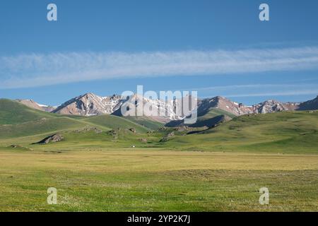 Riesige grüne Wiesen treffen auf majestätische Berge am Song-Kol-See unter einem klaren blauen Himmel in Kirgisistan, Zentralasien und Asien Stockfoto