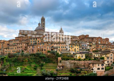 Blick auf die Stadt mit traditionellen toskanischen Gebäuden mit Kathedrale oben bei Sonnenuntergang, Siena, UNESCO-Weltkulturerbe, Toskana, Italien, Europa Stockfoto