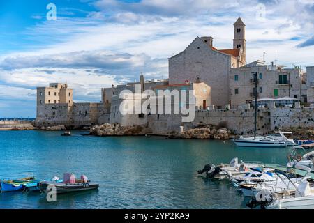 Kathedrale der Heiligen Maria der Himmelfahrt mit Booten im Yachthafen, Giovinazzo, Apulien, Italien, Europa Stockfoto