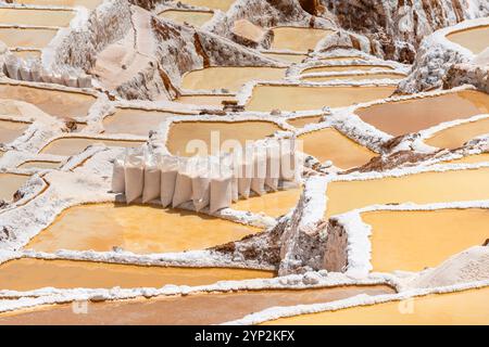 Salzsäcke in den Salinen von Maras, Salinas de Maras, Cuzco Region, Peru, Südamerika Stockfoto