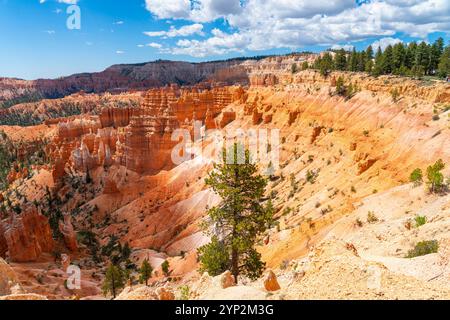 Malerische Aussicht auf Hoodoos und Felsformationen, Rim Trail, Bryce Canyon National Park, Utah, Vereinigte Staaten von Amerika, Nordamerika Stockfoto