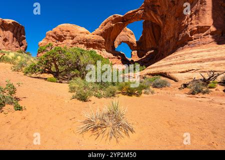 Double Arch in der Windows Section, Arches National Park, Moab, Utah, Vereinigte Staaten von Amerika, Nordamerika Stockfoto