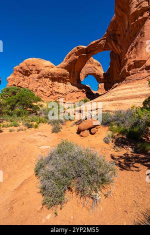 Double Arch in der Windows Section, Arches National Park, Moab, Utah, Vereinigte Staaten von Amerika, Nordamerika Stockfoto