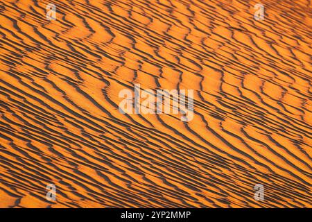 Details zu den Sanddünen in Mesquite Flat, Death Valley, Kalifornien, USA, Nordamerika Stockfoto