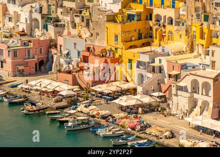 Blick auf Marina di Corricella von erhöhter Position, Procida, Phlegräische Inseln, Golf von Neapel, Kampanien, Süditalien, Italien, Europa Stockfoto