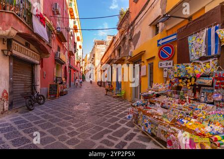 Blick auf das Geschäft in der engen Straße in Procida, Procida, Phlegräischen Inseln, Golf von Neapel, Kampanien, Süditalien, Italien, Europa Stockfoto