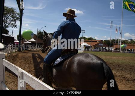 Ein Mann mit Cowboyhut reitet auf einem Pferd in einer Schmutzarena. Der Mann trägt ein blaues Hemd und Jeans Stockfoto