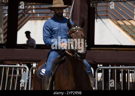 Ein Mann mit Cowboyhut reitet auf einem braunen Pferd. Der Mann trägt ein blaues Hemd und Jeans Stockfoto