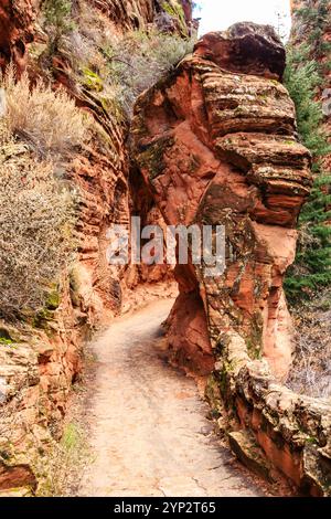 Ein Pfad schlängelt sich durch einen felsigen Canyon. Der Weg ist schmal und felsig, mit einer kleinen Öffnung in den Felsen. Der Weg ist von Bäumen und Büschen umgeben, und Stockfoto