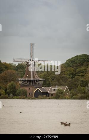 Windmill de STER oder The Star am Süßwassersee de Kralingse Plas in der Nähe von Rotterdam in den Niederlanden. Ikonisches, typisch holländisches Bild am grauen Tag Stockfoto