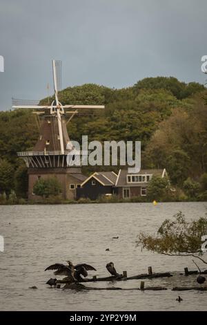 Windmill de STER oder The Star am Süßwassersee de Kralingse Plas in der Nähe von Rotterdam in den Niederlanden. Ikonisches, typisch holländisches Bild am grauen Tag Stockfoto