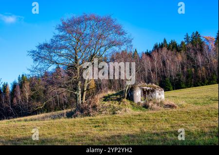 Ein historischer Blick auf einen tschechoslowakischen Anti-Infanterie-Bunker, bekannt als „Ropik“, der auf einem von Bäumen umgebenen Feld steht und an die Vergangenheit und seinen Wartim erinnert Stockfoto