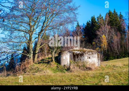 Ein historischer Blick auf einen tschechoslowakischen Anti-Infanterie-Bunker, bekannt als „Ropik“, der auf einem von Bäumen umgebenen Feld steht und an die Vergangenheit und seinen Wartim erinnert Stockfoto