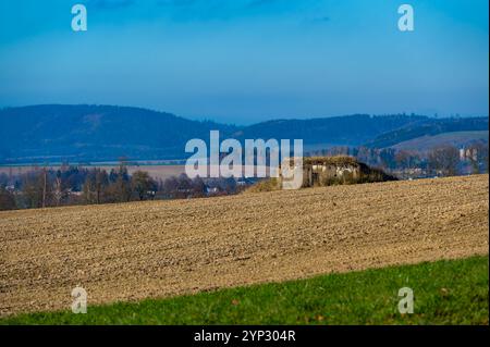 Ein historischer Blick auf einen tschechoslowakischen Anti-Infanterie-Bunker, bekannt als „Ropik“, der auf einem von Bäumen umgebenen Feld steht und an die Vergangenheit und seinen Wartim erinnert Stockfoto