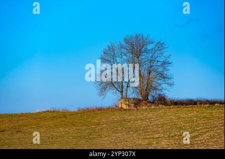 Ein historischer Blick auf einen tschechoslowakischen Anti-Infanterie-Bunker, bekannt als „Ropik“, der auf einem von Bäumen umgebenen Feld steht und an die Vergangenheit und seinen Wartim erinnert Stockfoto