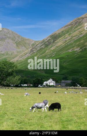 Das Wasdale Head Inn liegt unter den Bergen des Lake District oberhalb von Wastwater im englischen Lake District, Cumbria, Großbritannien. Stockfoto