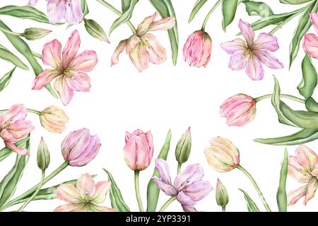 Rechteckiger Rahmen mit hellen Tulpen in Pastellrosa und offenen Knospen für Grußkarte „Hello Spring“. Handgezeichnete Aquarellillustration zarte Staude Stockfoto