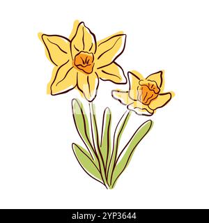 Handgezeichnete Narzissen-Blüte mit gelben Blüten und grünen Blättern. Eine lebendige Blumenabbildung für Frühlingsdesign, Grußkarte und Naturmotive Stock Vektor