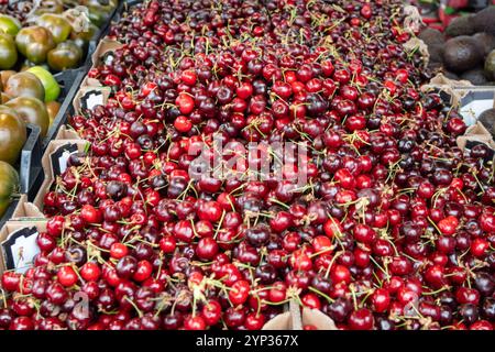 Neue Saison mit Reifen roten süßen Kirschen Sommerfrüchten, Kirsche zum Verkauf auf dem Bauernmarkt in Dordogne, Frankreich Stockfoto