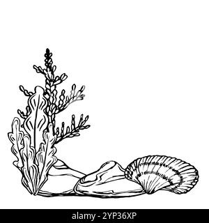 Meeresbodenlandschaft mit Muscheln und Algen. Unterwasser-Designvorlage Zeichnung im Strichstil. Handgezeichnete Vektorillustration der Untersee: Algen Stock Vektor