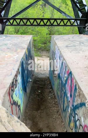 Farbenfrohe Graffiti auf Betonstütze der Metallbrücke im Waldgebiet. Stockfoto