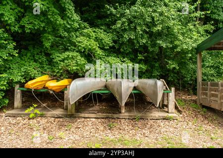 Eine Reihe von Kanus und Kajaks, die ordentlich auf einem Holzregal in einem bewaldeten Bereich gelagert sind. Stockfoto