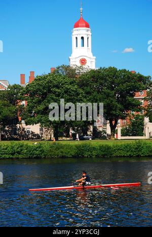 Ein einziger Schädel gleitet über den Charles River am roten Turm Dunster House auf dem Campus der Harvard University vorbei Stockfoto