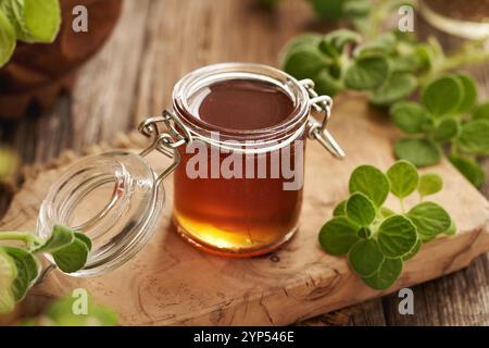 Ein Glas Plectranthus oder Coleus Amboinicus Sirup für gewöhnliche Kälte mit frischer Pflanze, Blick von oben Stockfoto