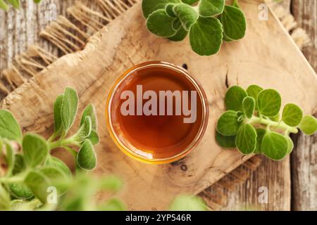 Eine Schüssel Plectranthus oder Coleus Amboinicus Sirup für gewöhnliche Kälte mit frischer Pflanze, Blick von oben Stockfoto