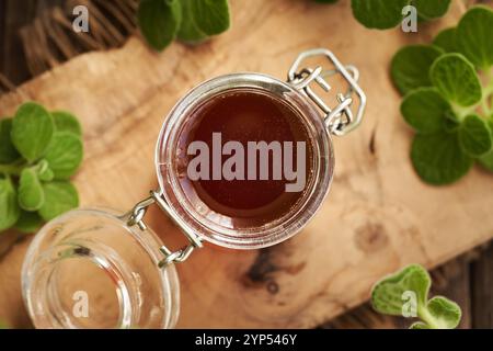 Ein Glas Plectranthus oder Coleus Amboinicus Sirup für gewöhnliche Kälte mit frischer Pflanze, Blick von oben Stockfoto