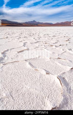 Salzkruste am Ufer der Lagune und des Salzsees Tuyajto, Altiplano (Hochplateau der Anden), Los Flamencos National Reserve, Atacama Wüste, Chile Stockfoto