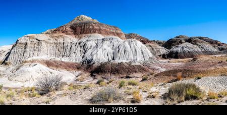 Panoramaaufnahme vom östlichen Teil der Bisit/de-Na-Zin Wilderness südlich von Farmington, New Mexico, USA an einem wunderschönen Herbstmorgen. Stockfoto