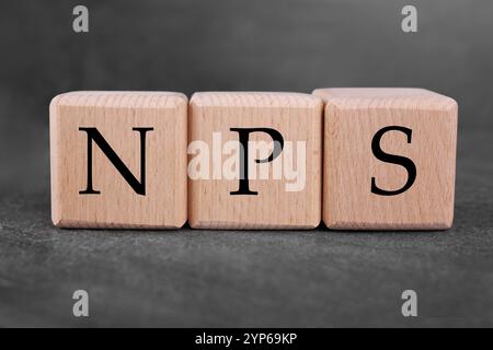 Abkürzung NPS (Net Promoter Score) aus Würfeln auf grauem Tisch Stockfoto