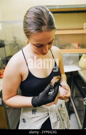 Eine Frau hält vorsichtig eine Fledermaus in ihren Händen. Das Konzept betont die Verbindung zwischen Mensch und Tier. Stockfoto