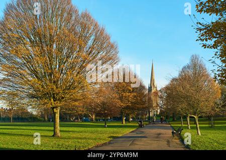 Clissold Park, Stoke Newington, London UK, im Spätherbst, mit Kirchturm St. Mary's und Herbstfarben Stockfoto