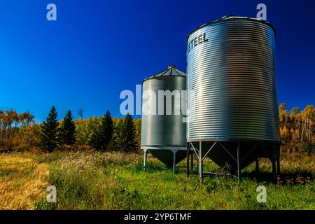 Zwei große Metalltanks sitzen auf einem Feld, von denen einer mit Steel beschriftet ist. Der andere ist leer. Der Himmel ist klar und blau, und das Gras ist üppig und grün. T Stockfoto