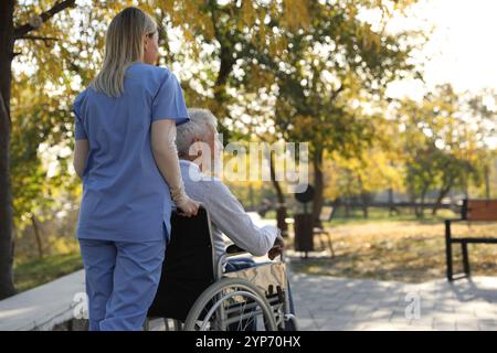 Betreuungsperson hilft Senioren im Rollstuhl im Park, Rückansicht und Platz für Text. Häuslicher Gesundheitsdienst Stockfoto