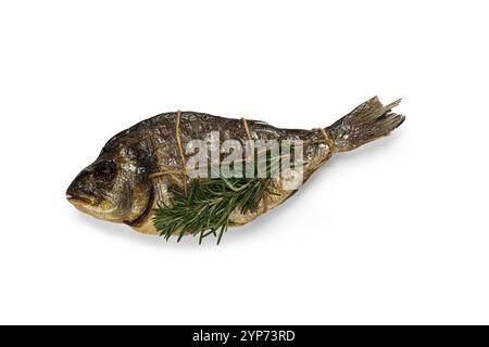 Dorado Fisch, heiß geräuchert, mit einem Zweig Rosmarin, mit einem Seil gebunden, auf weißem Hintergrund, Blick von oben, geräucherter Fisch, Nahaufnahme, keine Leute, isolieren Stockfoto