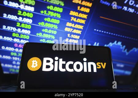 In dieser Abbildung wird das Bitcoin SV (BSV)-Logo auf einem Smartphone-Bildschirm angezeigt Stockfoto